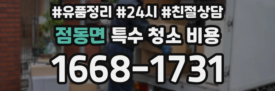 점동면 특수 청소 비용