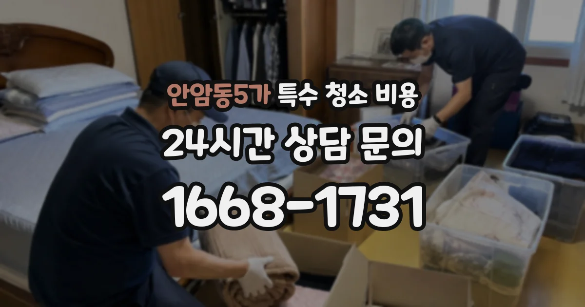 안암동5가 특수 청소 비용