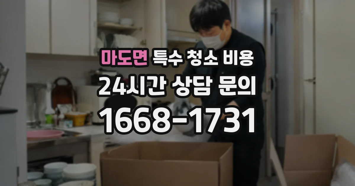 마도면 특수 청소 비용