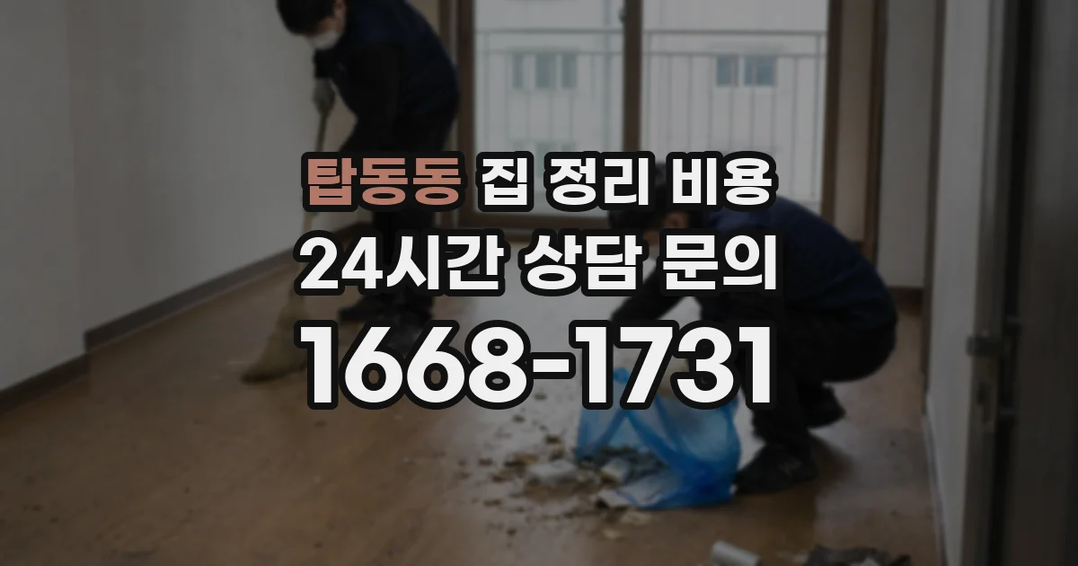 탑동동 집 정리 비용