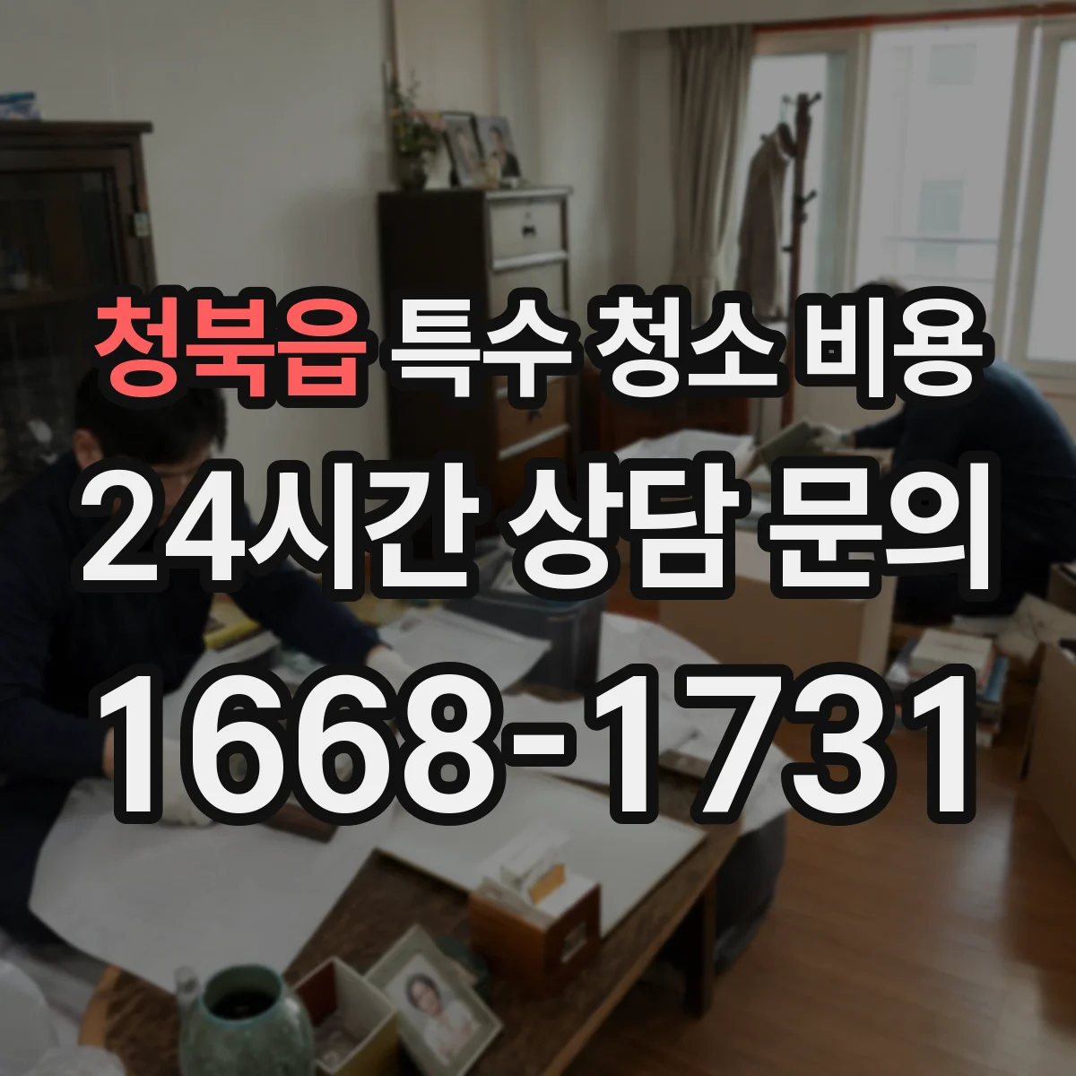 청북읍 특수 청소 비용