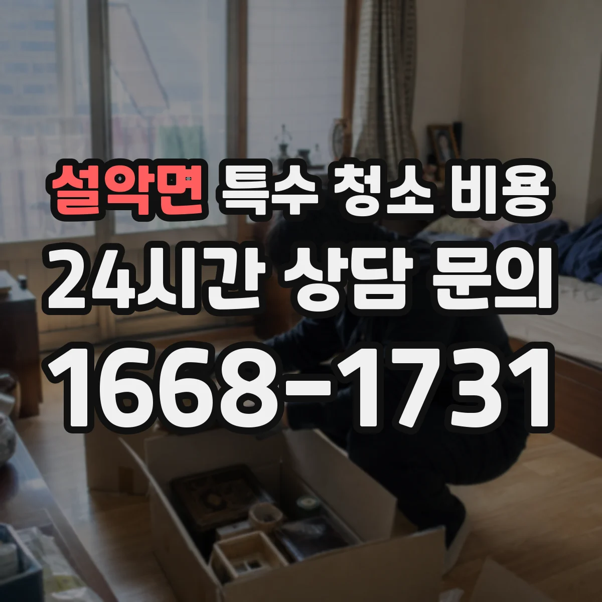 설악면 특수 청소 비용