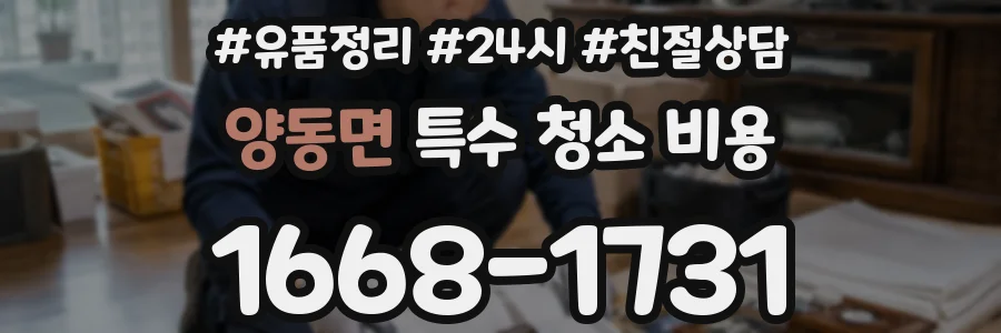 양동면 특수 청소 비용