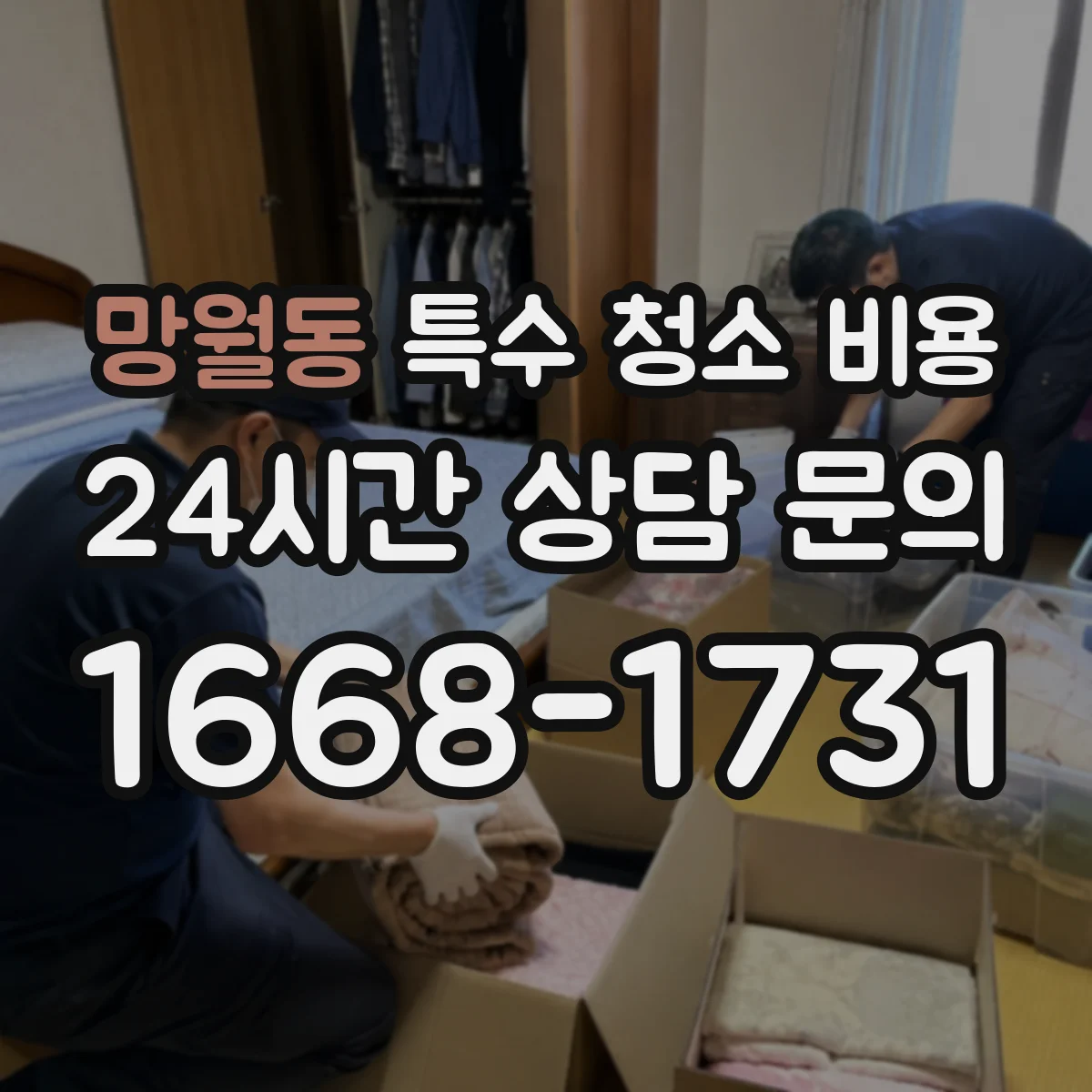 망월동 특수 청소 비용