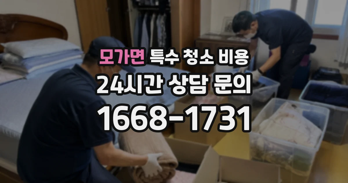 모가면 특수 청소 비용