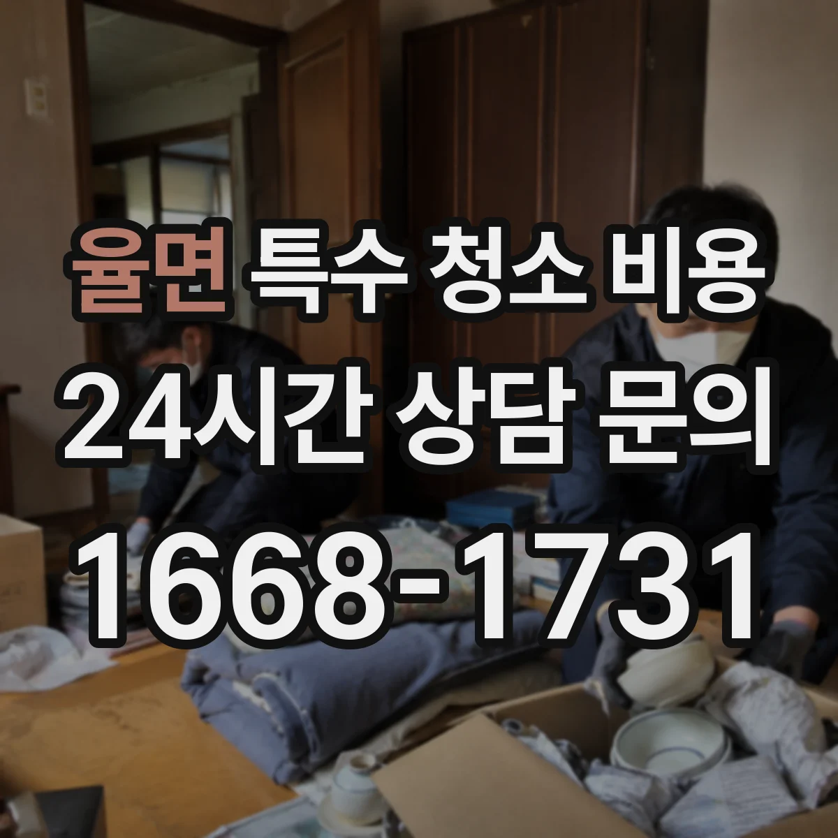 율면 특수 청소 비용