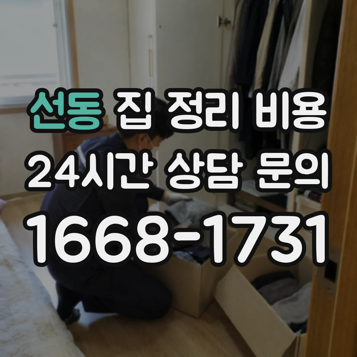 선동 집 정리 비용