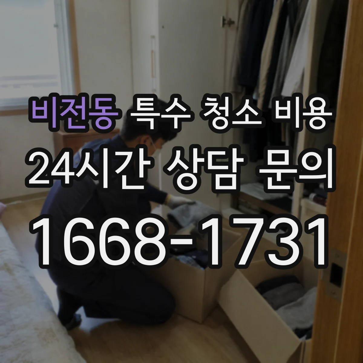비전동 특수 청소 비용