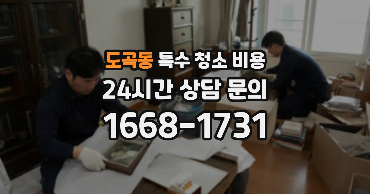도곡동 특수 청소 비용