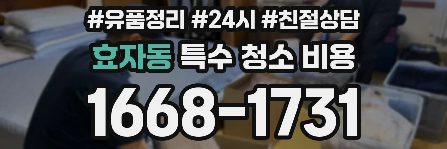 효자동 특수 청소 비용