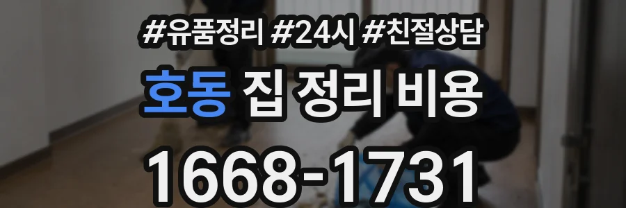 호동 집 정리 비용