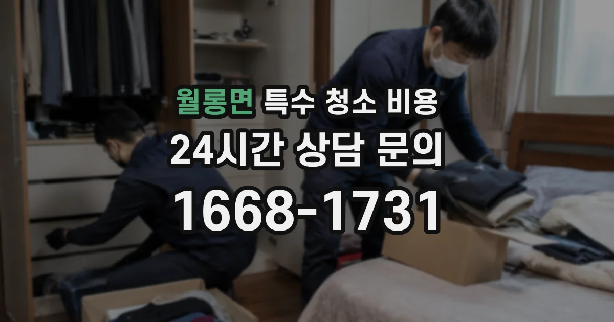 월롱면 특수 청소 비용