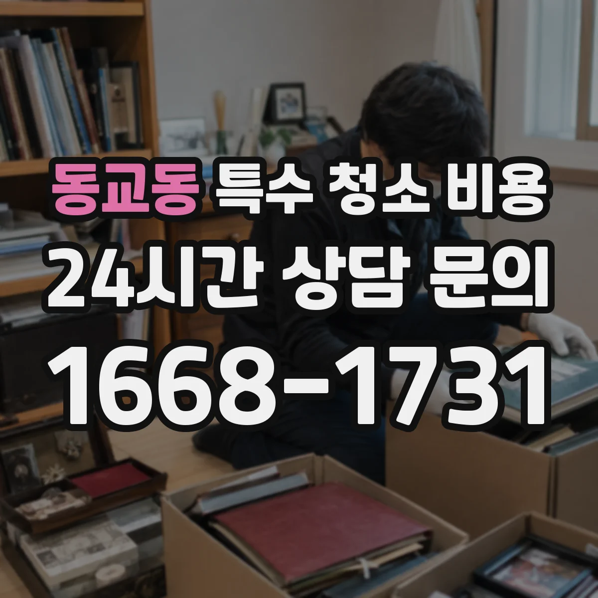 동교동 특수 청소 비용