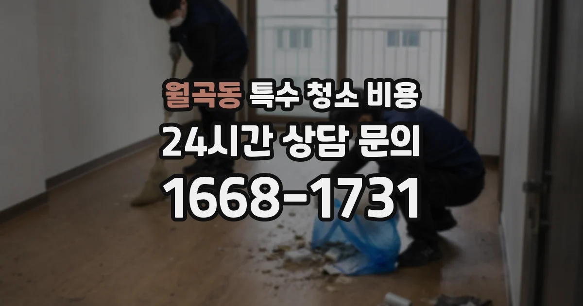 월곡동 특수 청소 비용