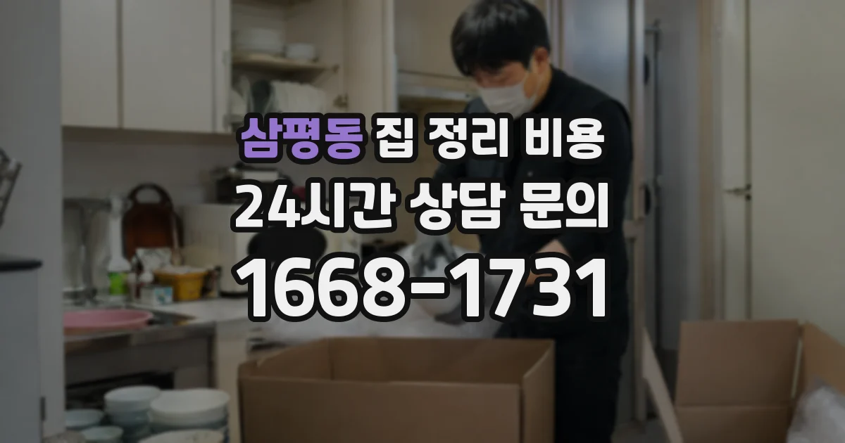 삼평동 집 정리 비용