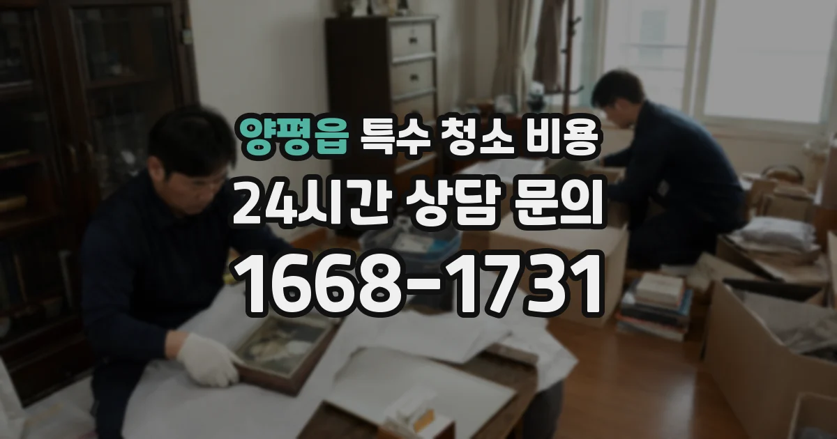 양평읍 특수 청소 비용