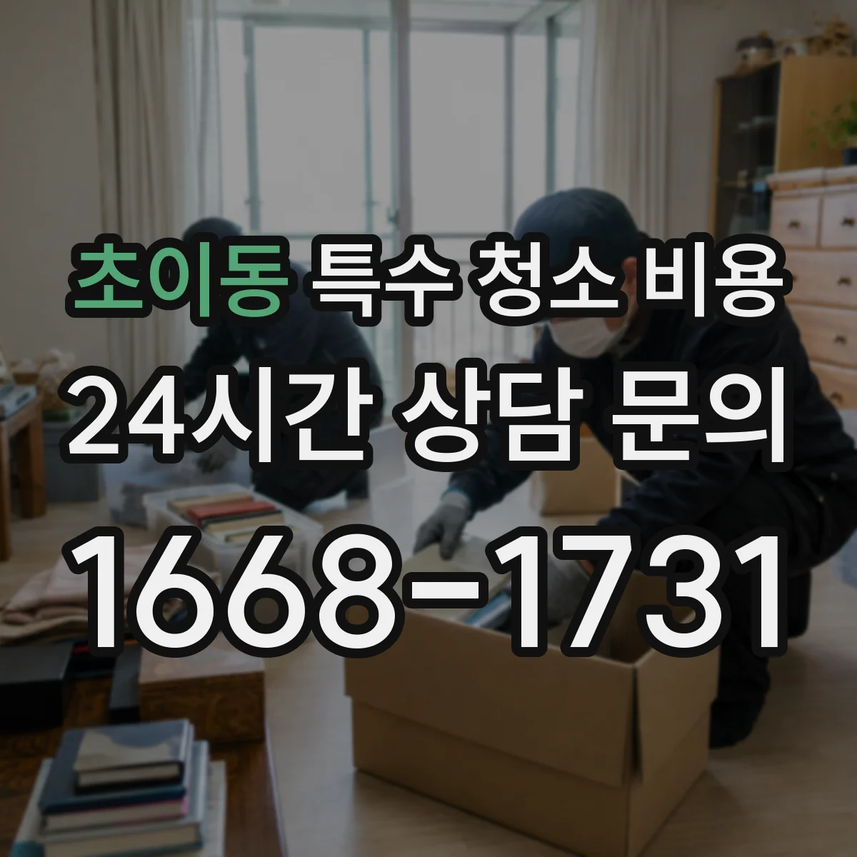 초이동 특수 청소 비용