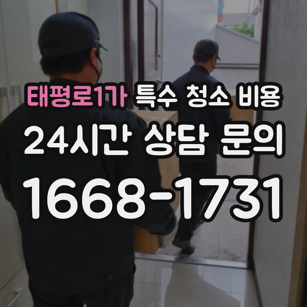 태평로1가 특수 청소 비용