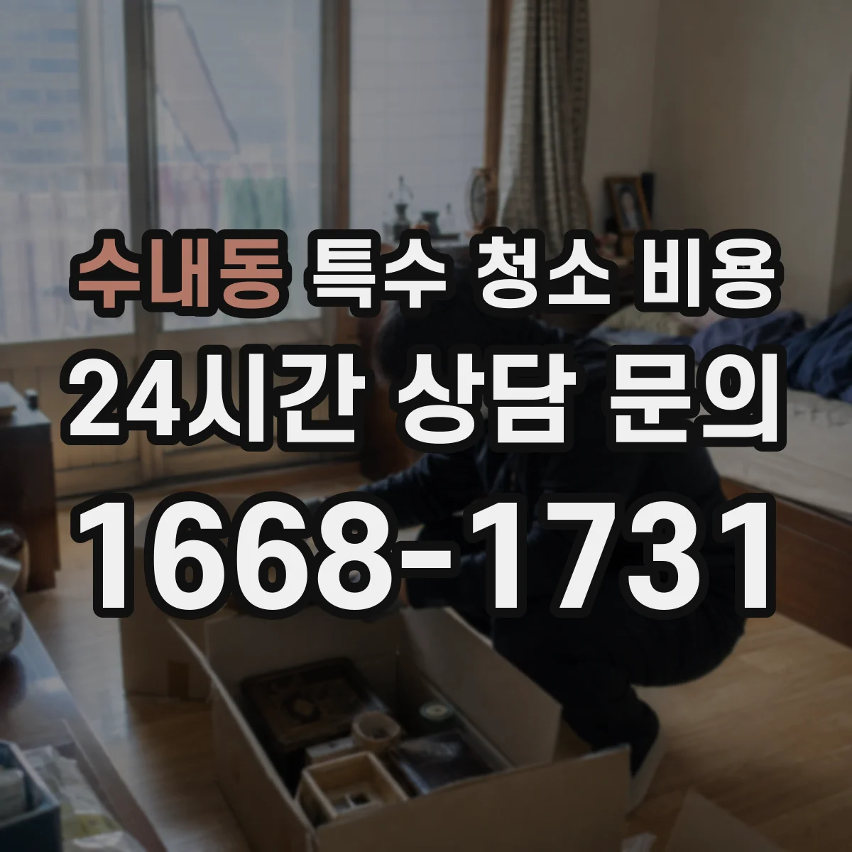 수내동 특수 청소 비용