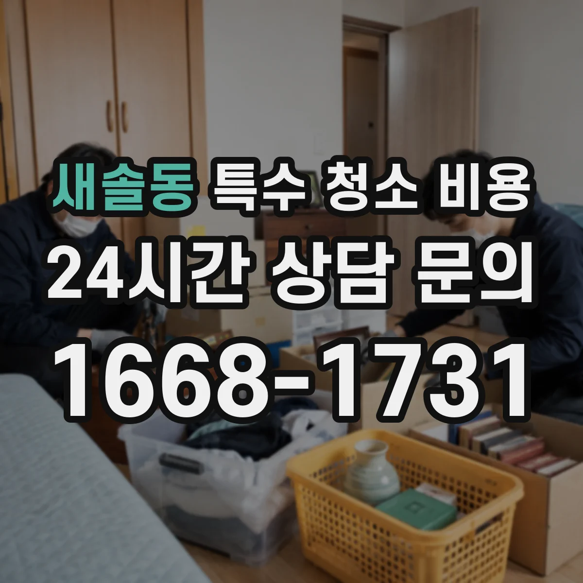 새솔동 특수 청소 비용