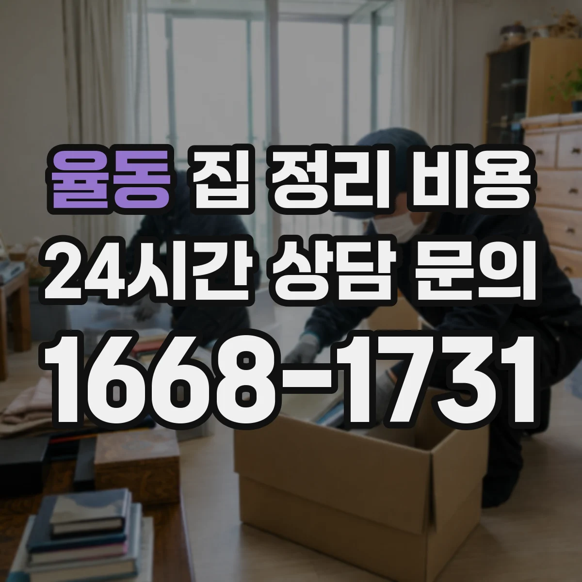 율동 집 정리 비용