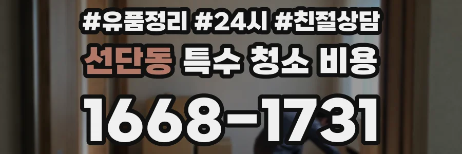 선단동 특수 청소 비용
