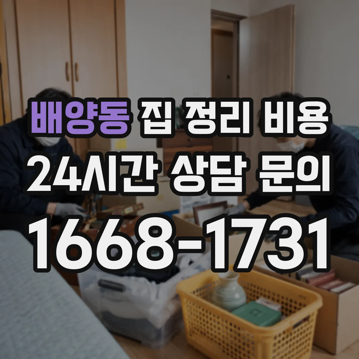 배양동 집 정리 비용