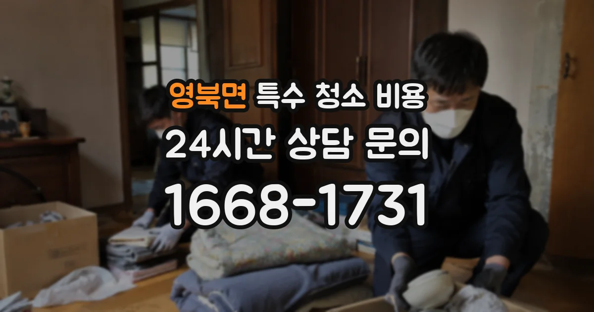 영북면 특수 청소 비용