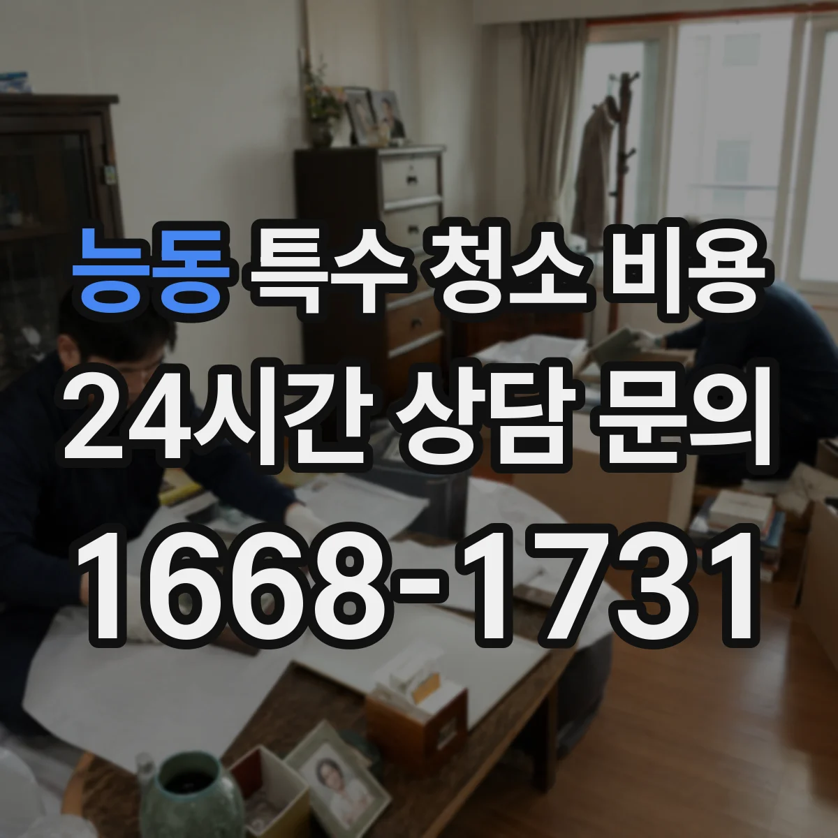 능동 특수 청소 비용