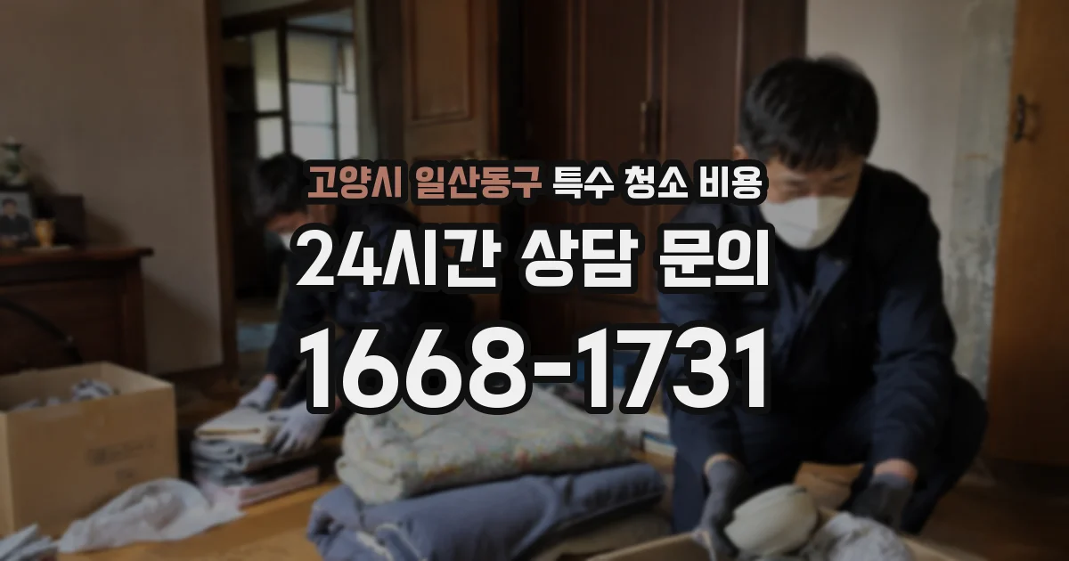고양시 일산동구 특수 청소 비용