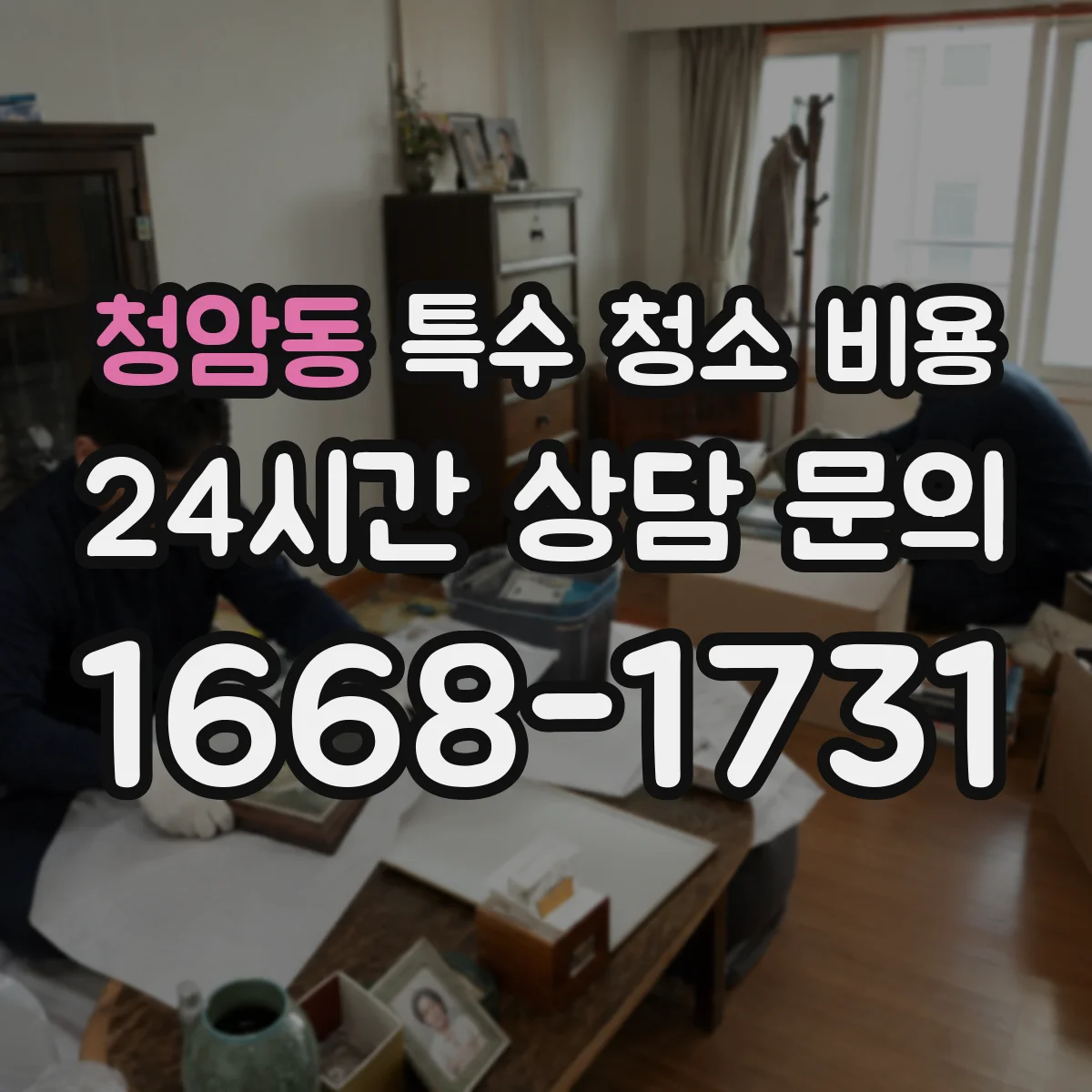 청암동 특수 청소 비용