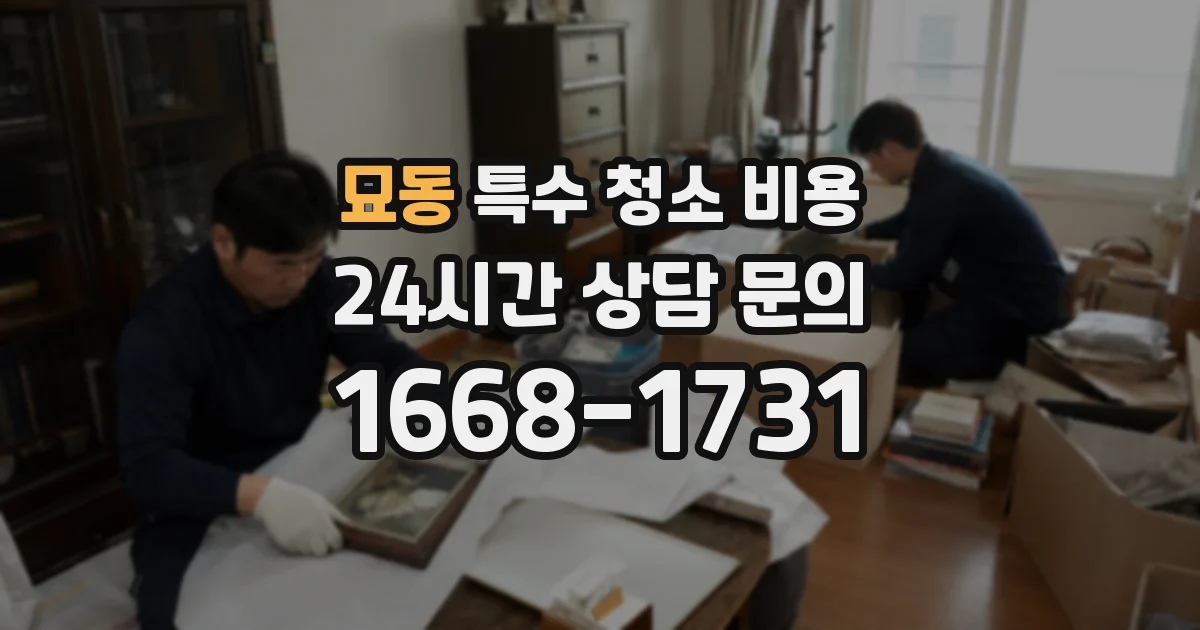 묘동 특수 청소 비용