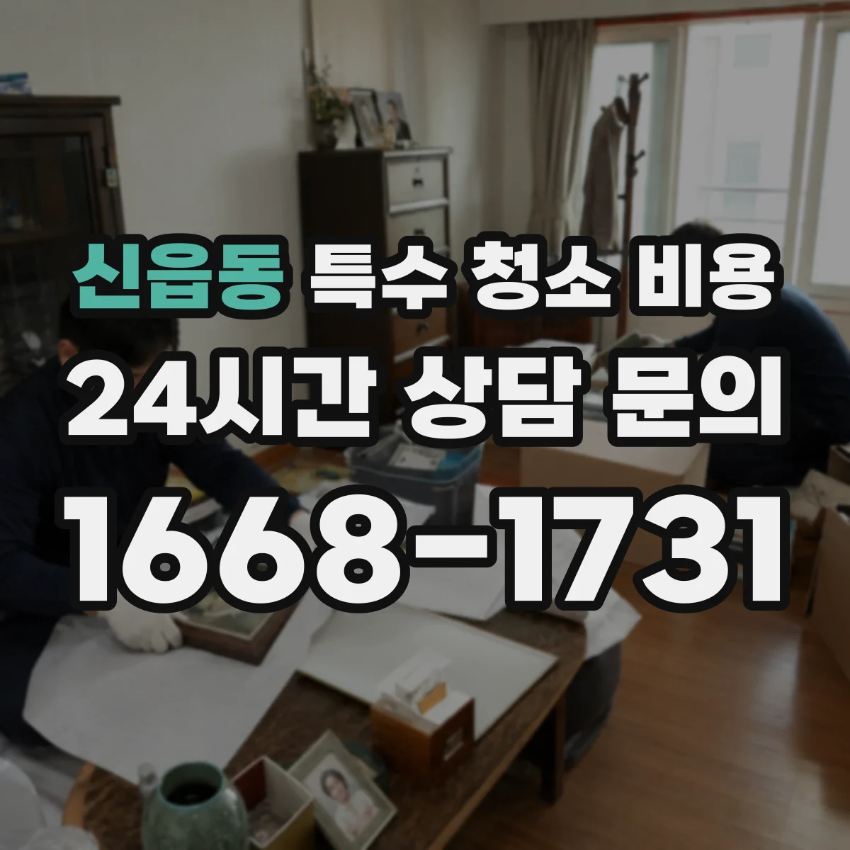 신읍동 특수 청소 비용
