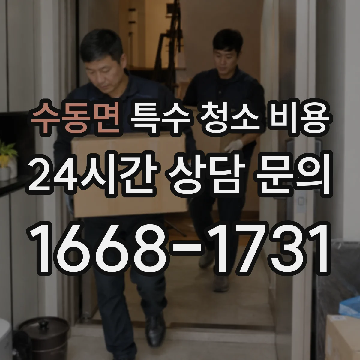 수동면 특수 청소 비용