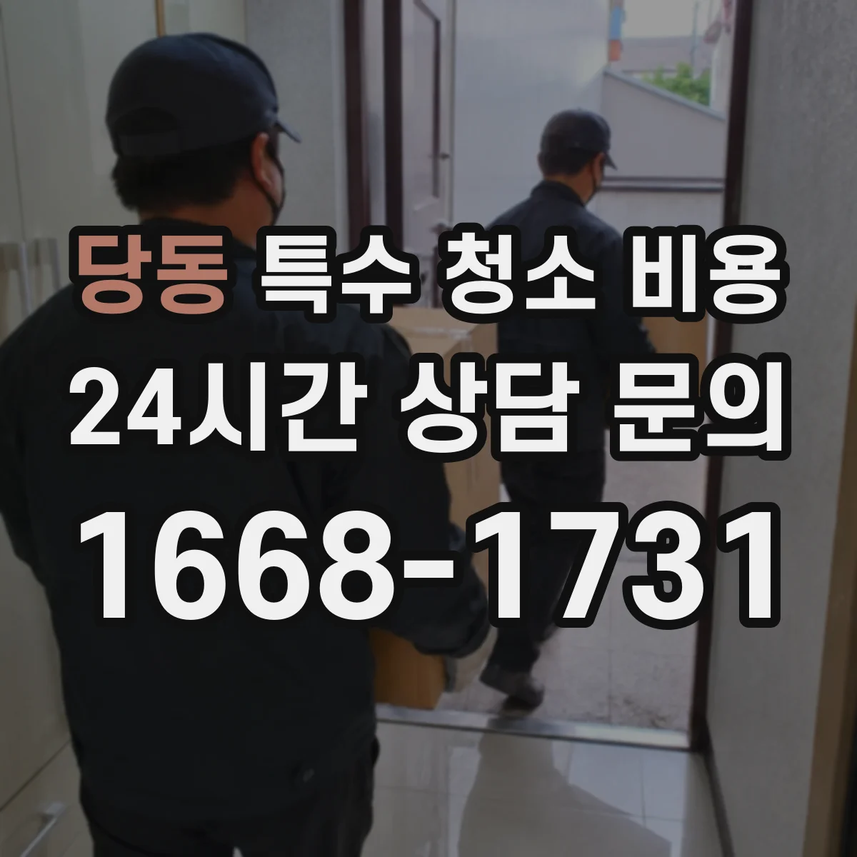 당동 특수 청소 비용