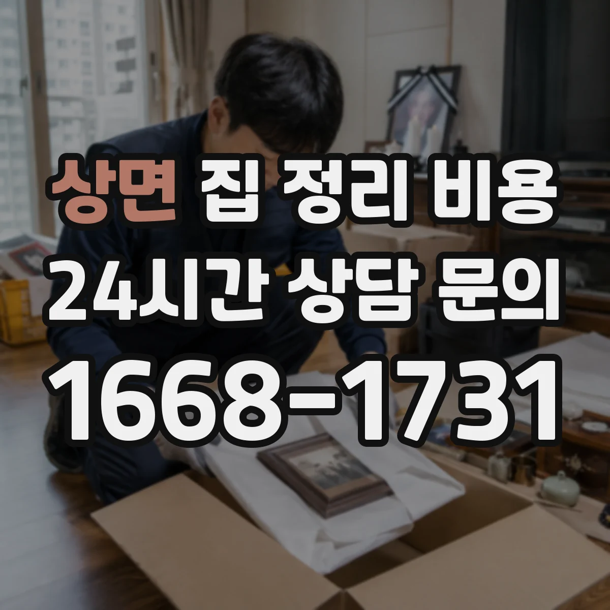 상면 집 정리 비용