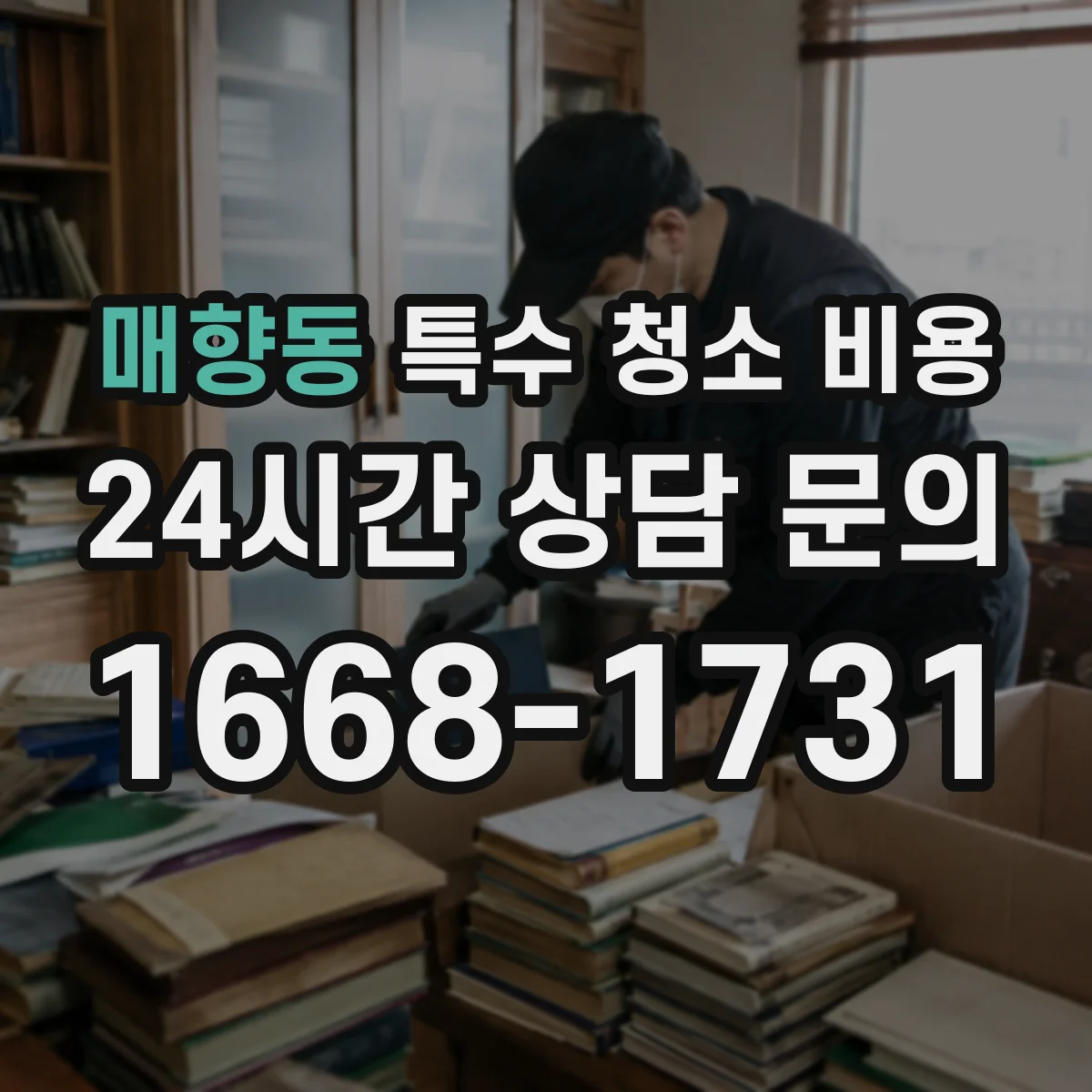 매향동 특수 청소 비용