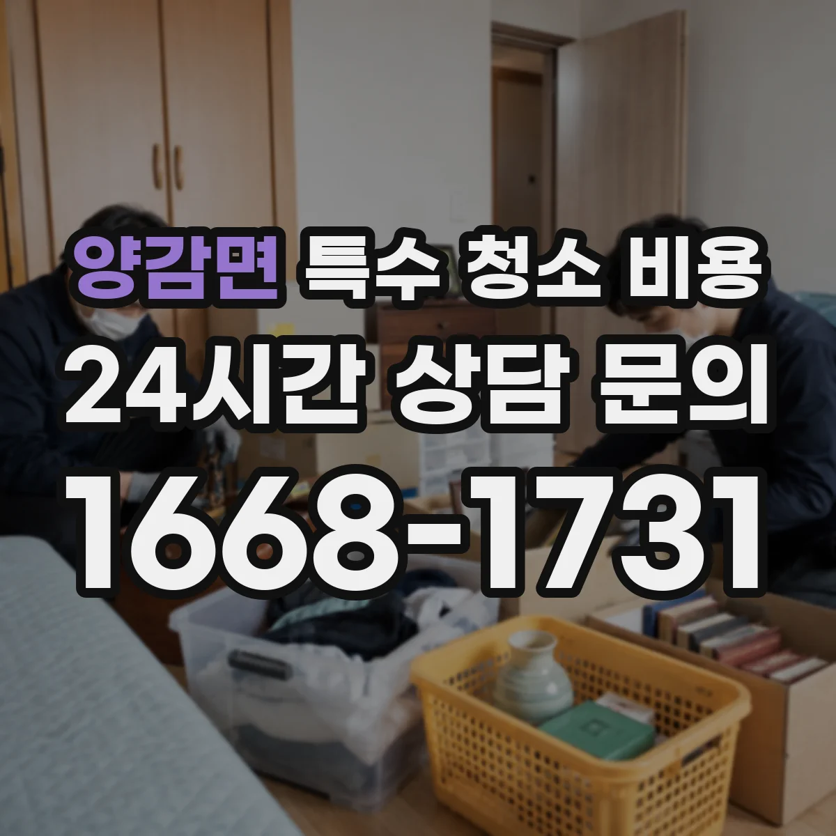 양감면 특수 청소 비용