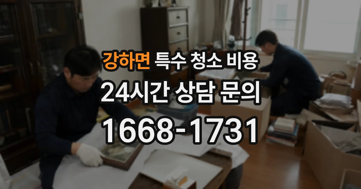 강하면 특수 청소 비용