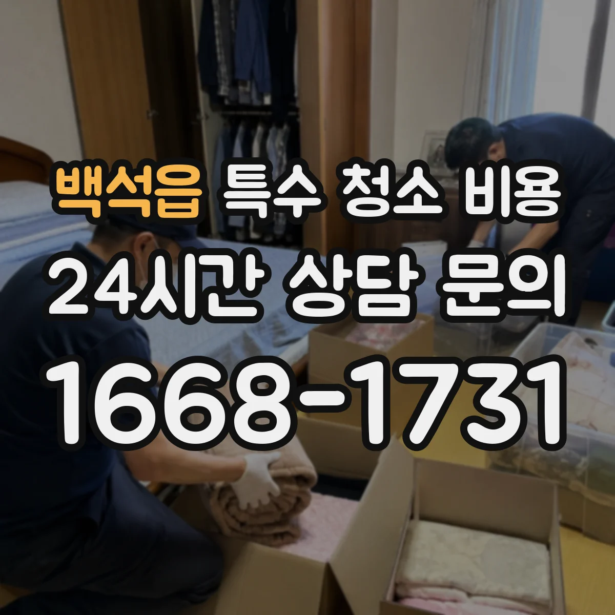 백석읍 특수 청소 비용
