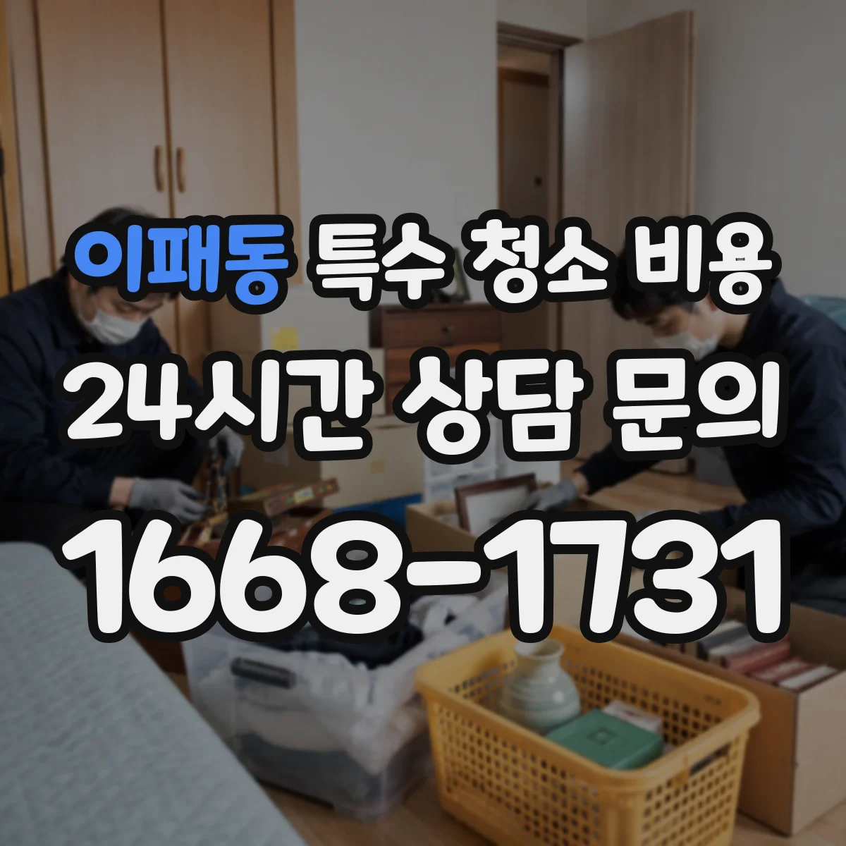 이패동 특수 청소 비용