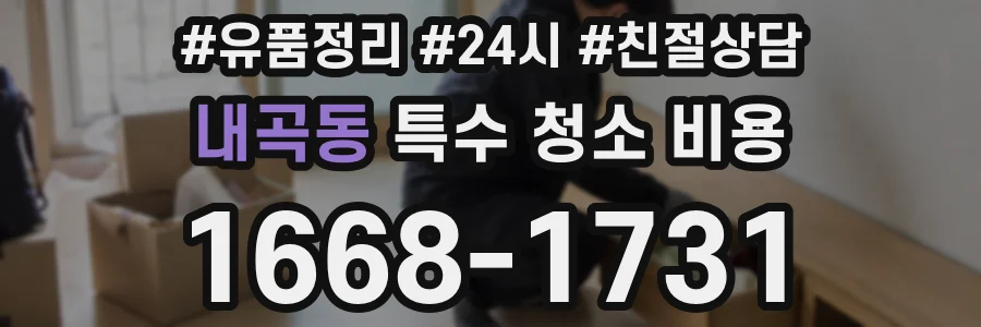 내곡동 특수 청소 비용