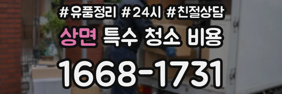 상면 특수 청소 비용