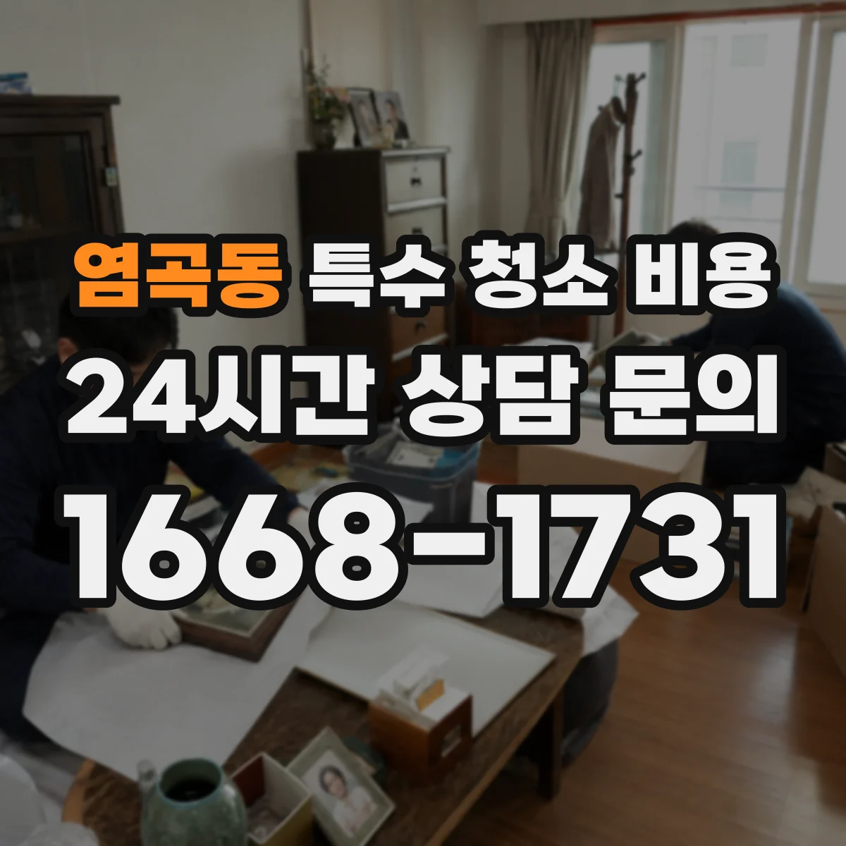 염곡동 특수 청소 비용