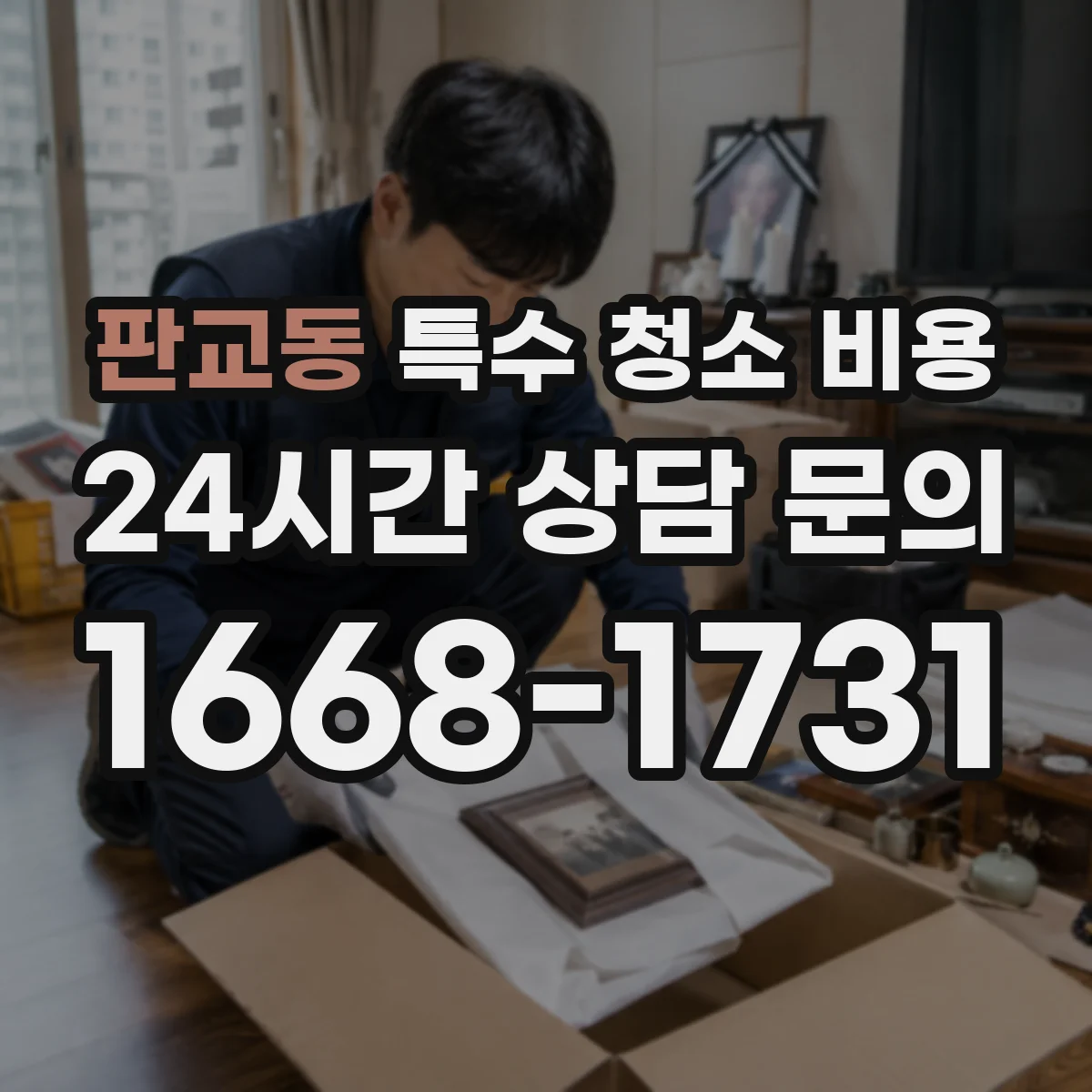 판교동 특수 청소 비용