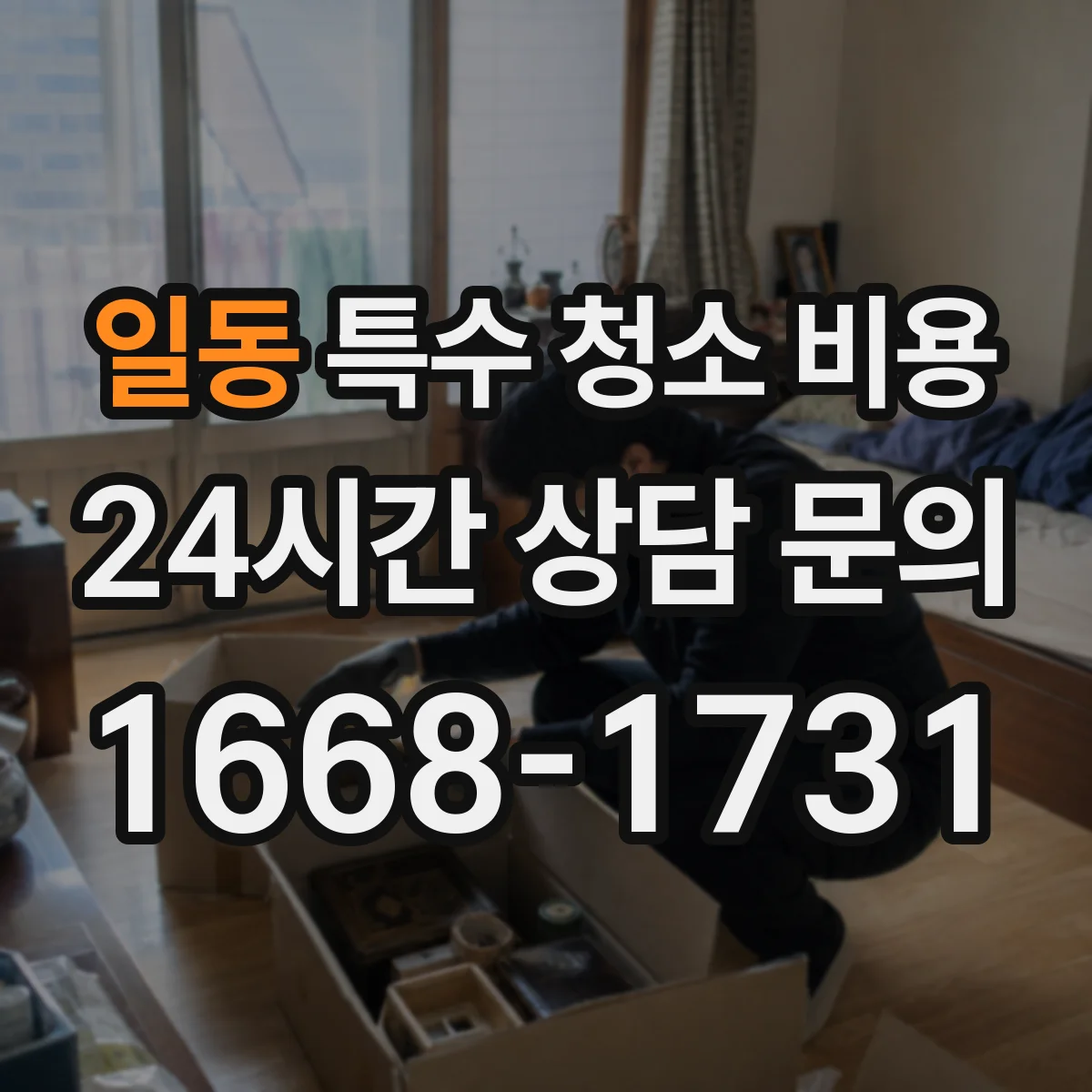 일동 특수 청소 비용