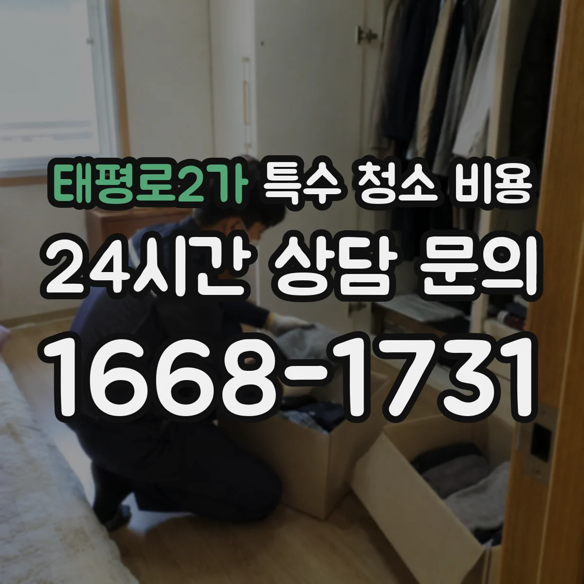 태평로2가 특수 청소 비용
