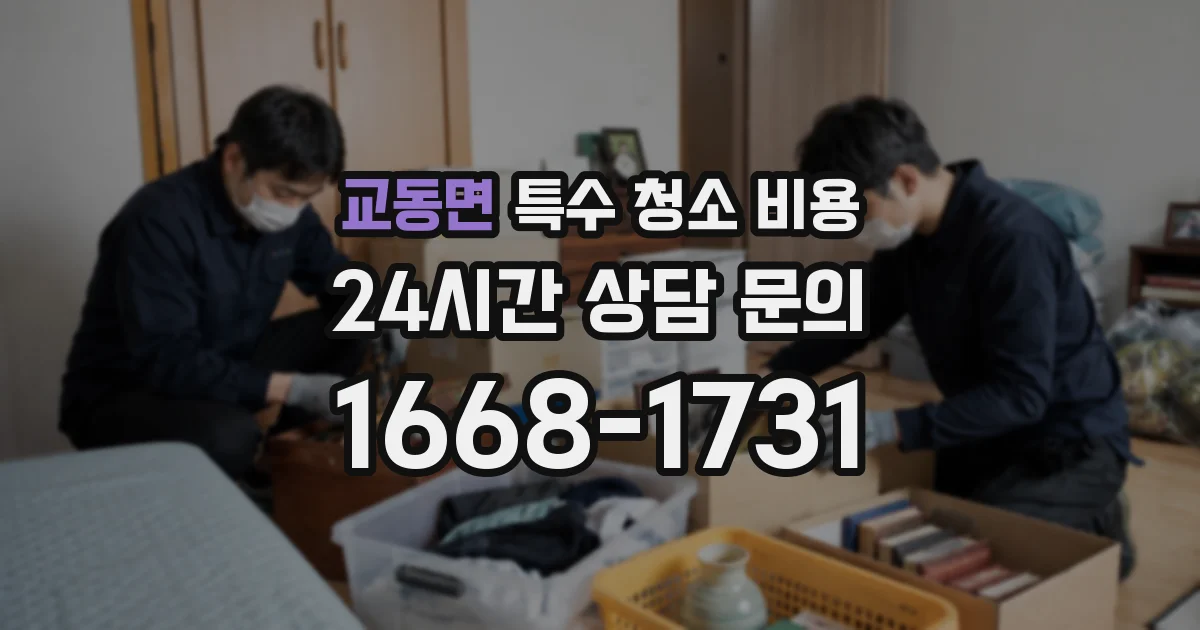 교동면 특수 청소 비용