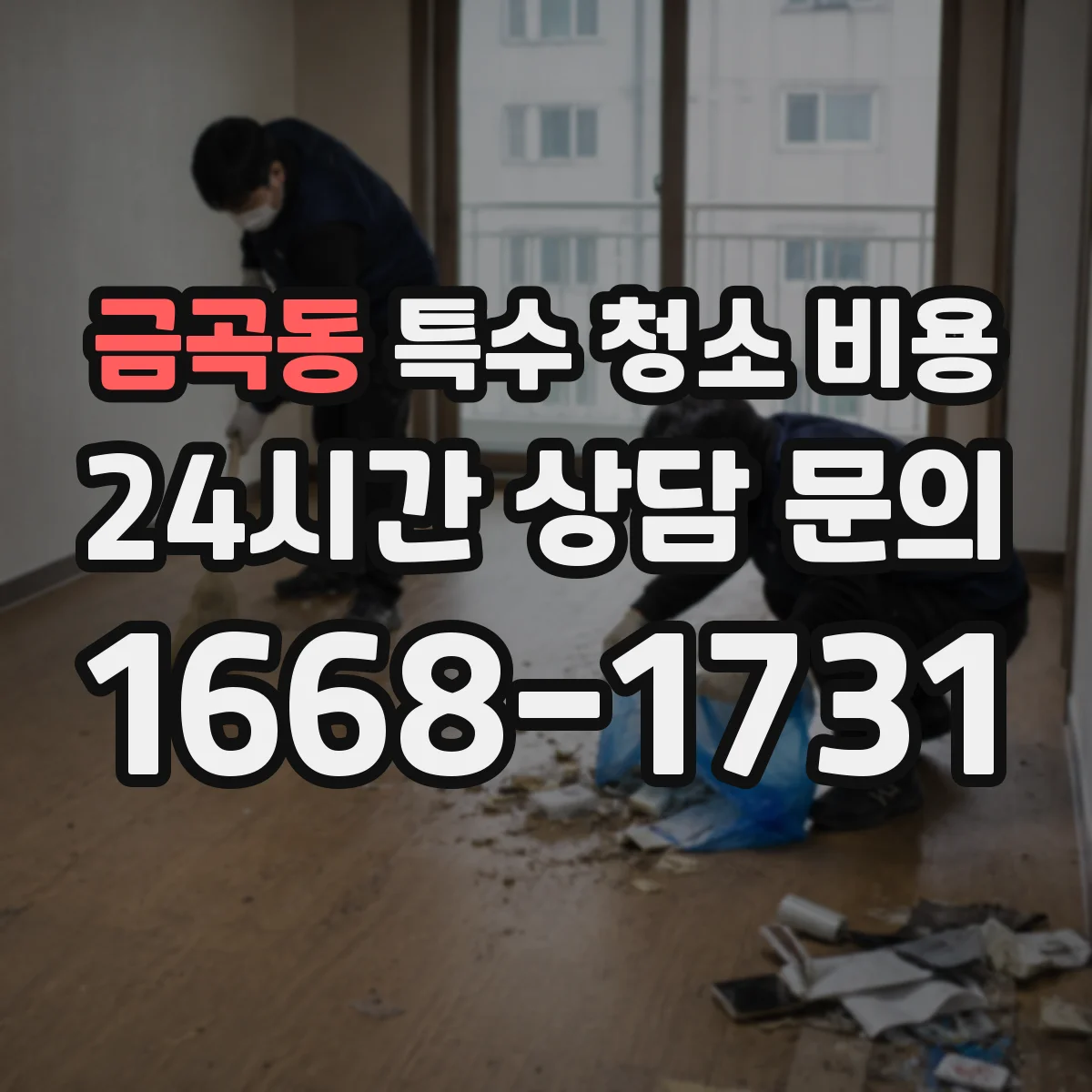 금곡동 특수 청소 비용