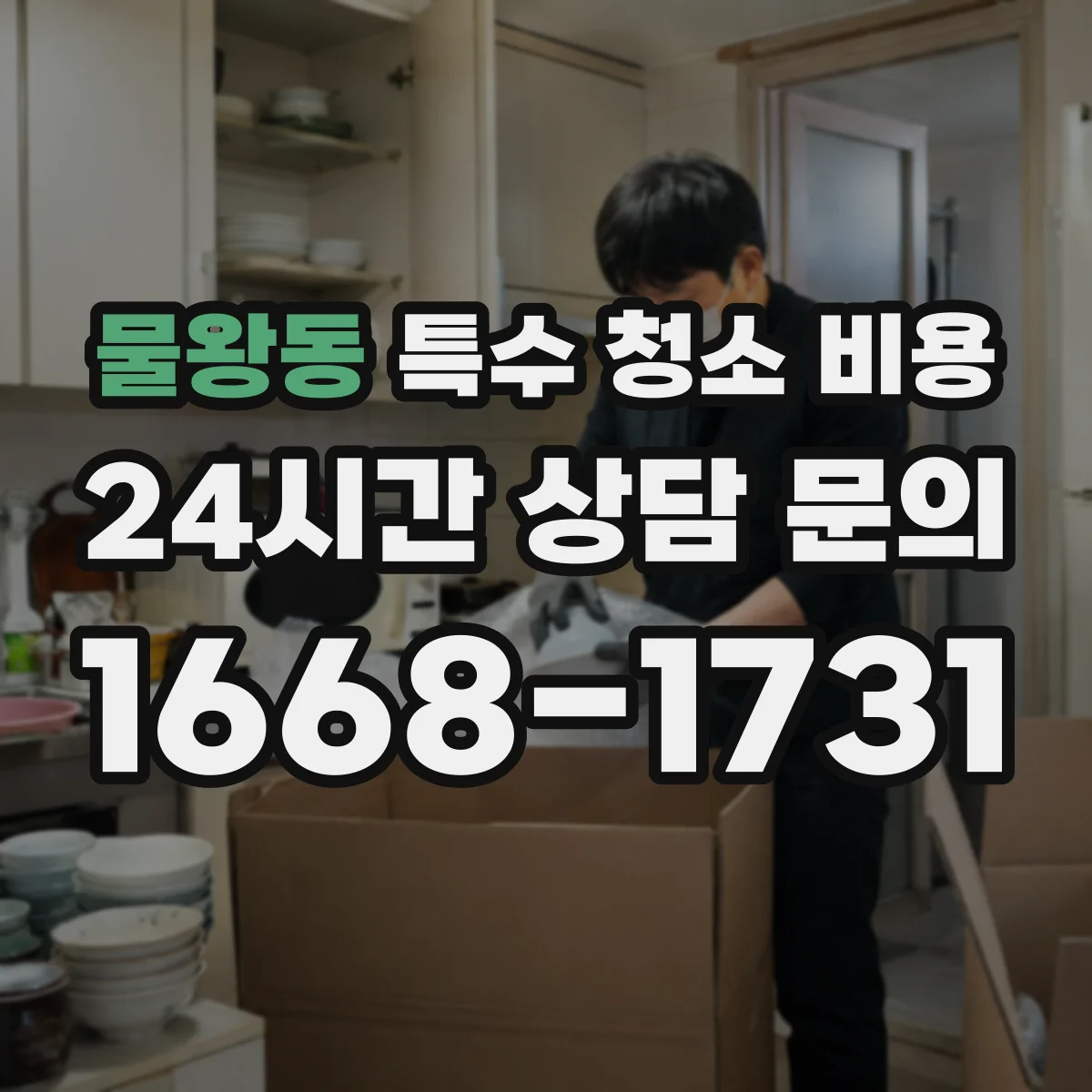 물왕동 특수 청소 비용